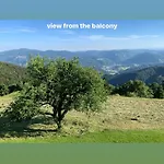 Boris Sveta Planina * Knezdol