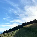 Boris Sveta Planina *