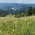 Boris Sveta Planina Knezdol
