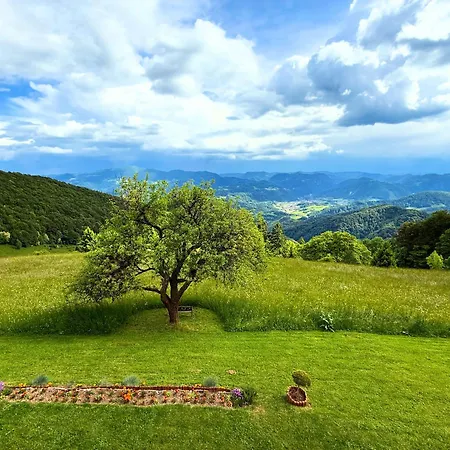 Boris Sveta Planina