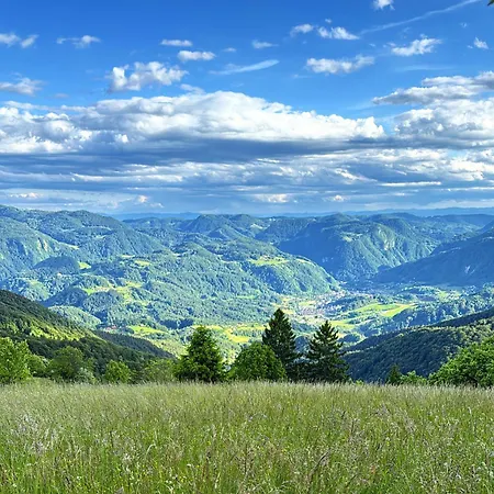 Apartman Boris Sveta Planina *