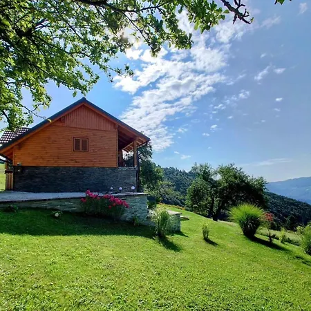 Boris Sveta Planina *
