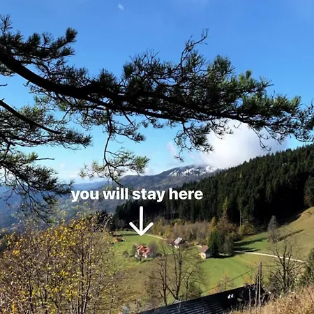 Boris Sveta Planina Apartman Knezdol