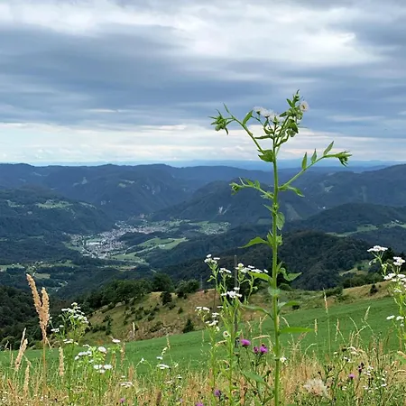 Boris Sveta Planina Apartman