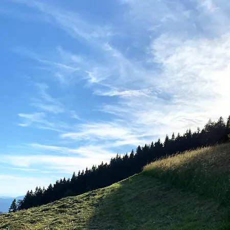 Boris Sveta Planina *