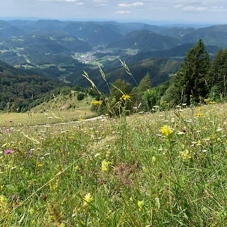 Boris Sveta Planina Knezdol