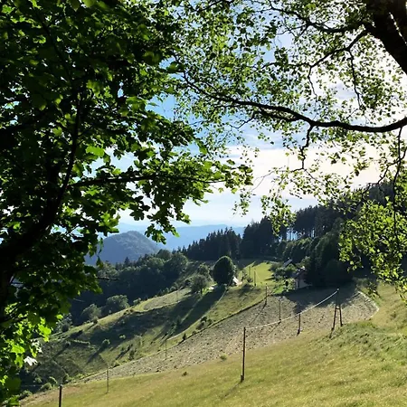 Boris Sveta Planina Apartman