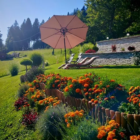 Boris Sveta Planina Knezdol