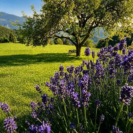 Boris Sveta Planina *