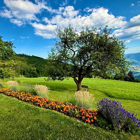 Apartman Boris Sveta Planina Knezdol